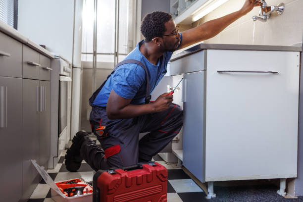 Best Commercial Plumbing Services  in Lincoln Park, MI